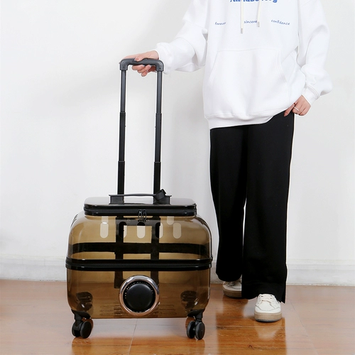 Портативный чемодан для выхода на улицу, космическая вместительная и большая тележка, рюкзак, домашний питомец, кот
