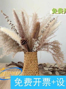 文艺复古天然芦苇干花束套装民宿服装店橱窗家居桌面装饰真花摆件