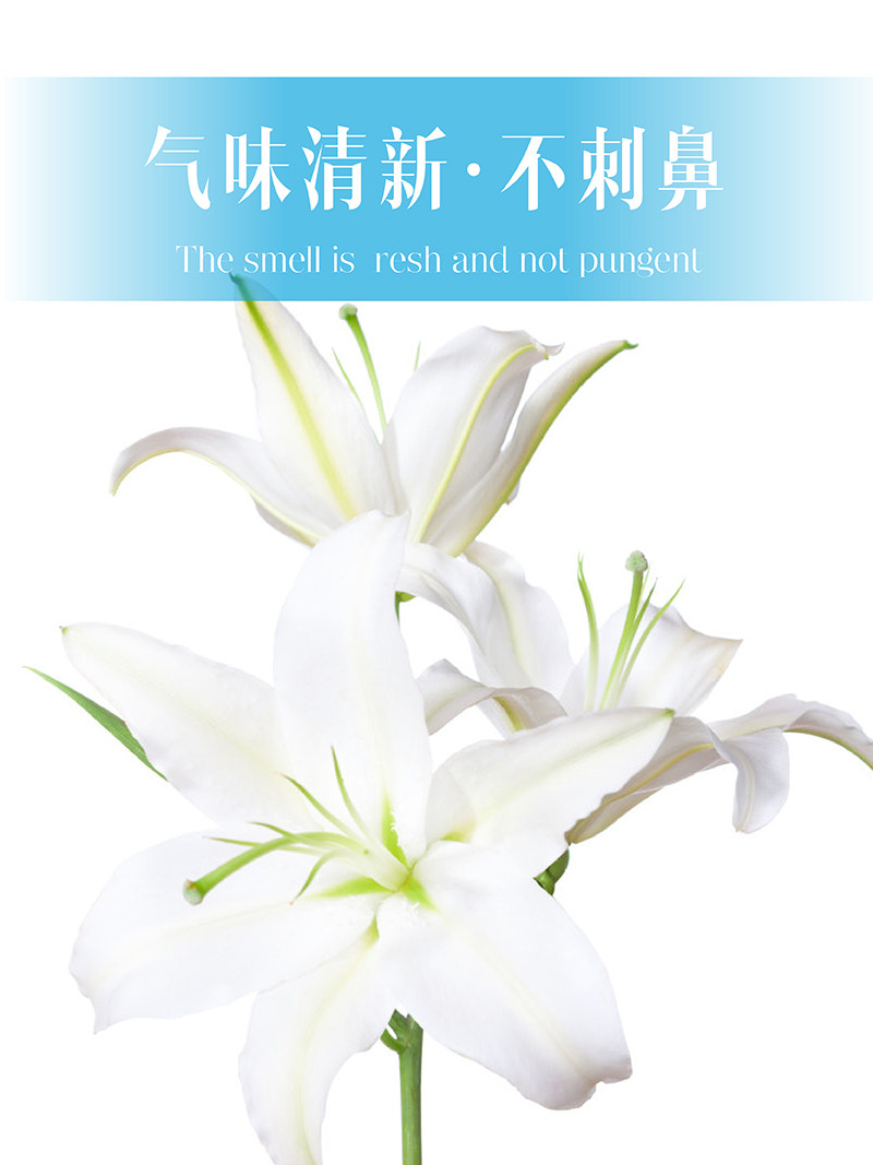 怀梦草油污油烟机强力去泡沫清洗剂 怀梦草油污清洁剂