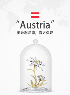 【自营】Swarovski/施华洛世奇钟罩车摆件雪绒花家居女友节日礼物