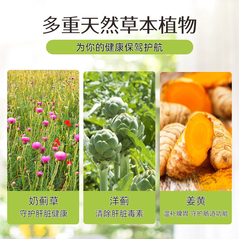 【自营】Swisse斯维诗奶蓟草护肝片水飞蓟加班加班熬夜200粒解酒 - 图1