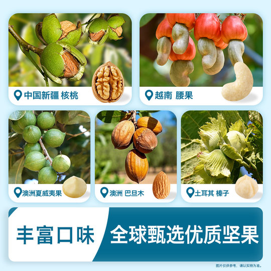 Heyangyang Nuts Ganze Walnuss-Macadamia-Nüsse ohne Zusatz von weißem Zucker, Babybohnen