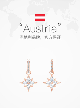 Swarovski施华洛世奇女耳环