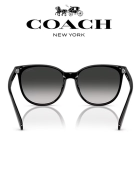 【自营】COACH蔻驰渐变色太阳眼镜男女大框墨镜百搭时尚0HC8414BD