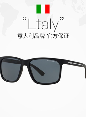 【自营】ARMANI/阿玛尼墨镜休闲方框时尚潮流百搭太阳镜0AX4041SF