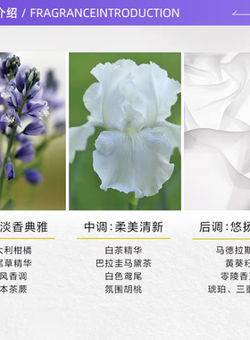 【自营】Elizabeth Arden/伊丽莎白雅顿经典白茶香水野玫瑰30ml