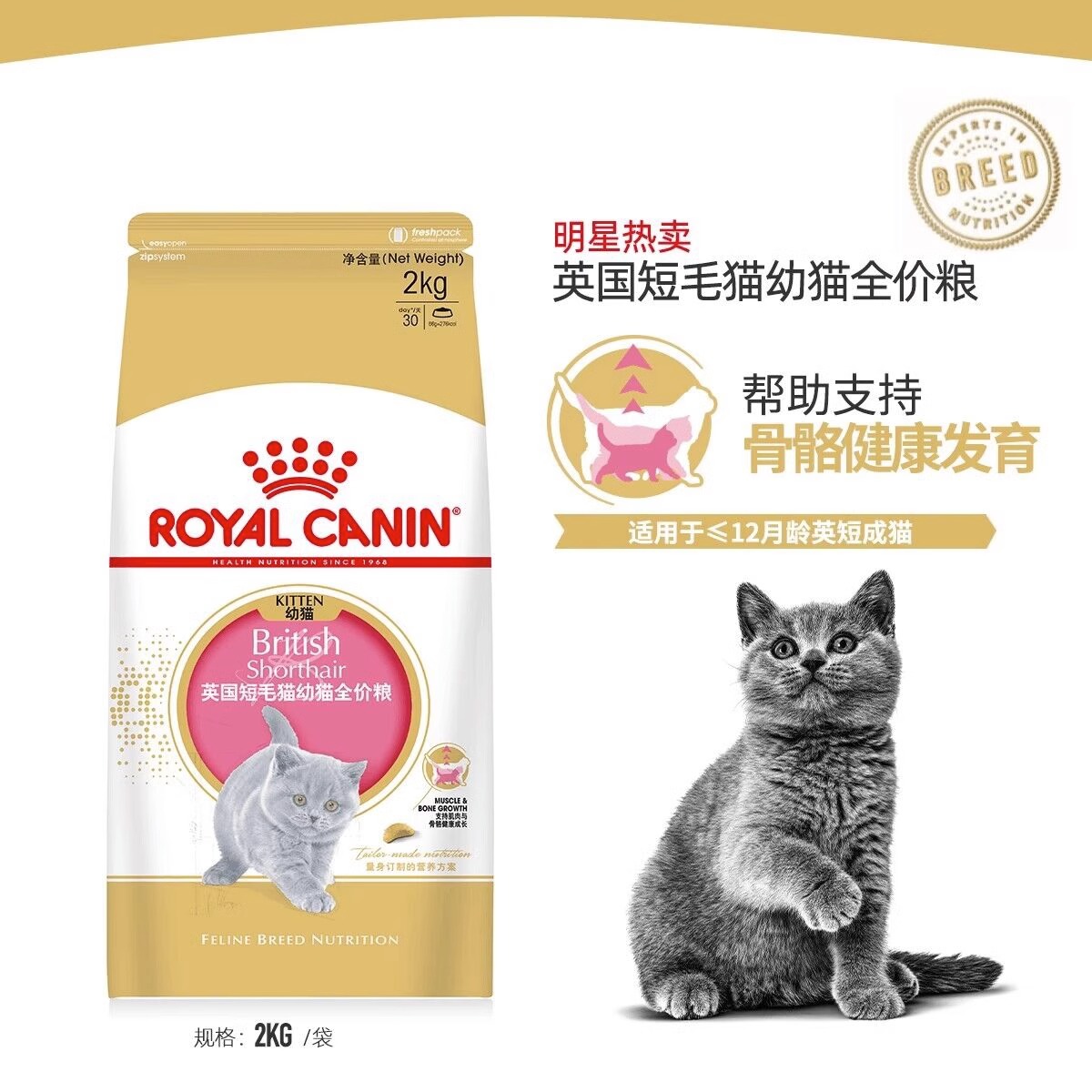 【自营】皇家BSK38英短专用幼猫粮营养发腮蓝猫奶糕奶猫粮宠物粮-图1