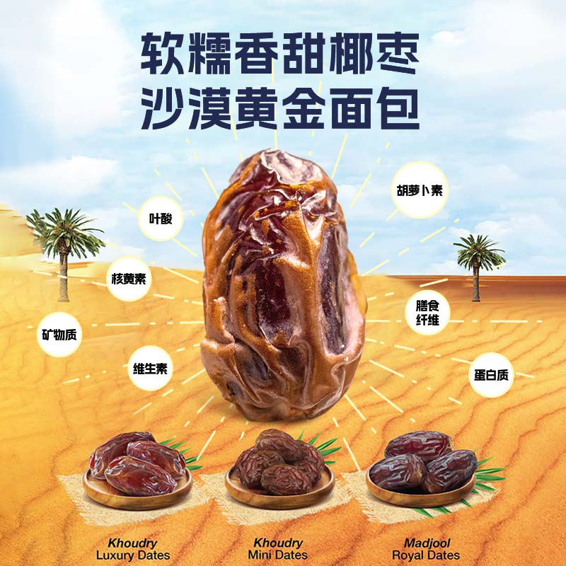 【自营】阿联酋迪拜Arabian Delight特级椰枣500g进口零食果干-图0