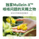 Haodibei Kening Oral Liquid 120ml