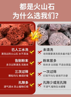火山石小颗粒盆栽水族营养土铺面垫底天然滤材玄武岩砂生态造景