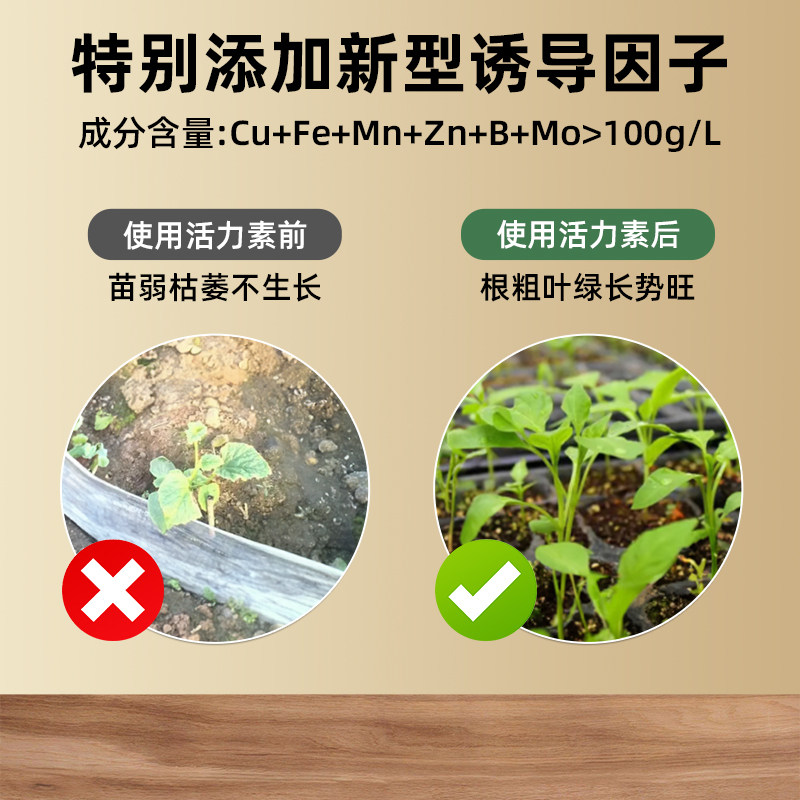 植物活力素生长花卉绿植通用养花多肉盆栽发财树绿萝爆芽营养液,淘宝优惠券,粉丝福利购,淘宝优惠卷