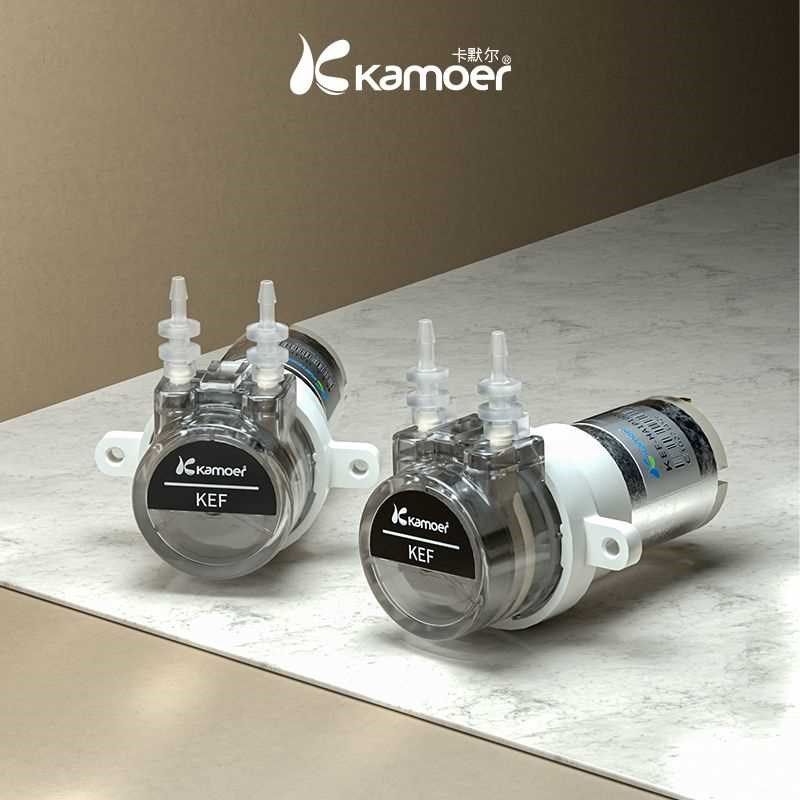 卡默尔蠕动泵12v微n型泵电动泵循环泵24伏泵头电机实验室KEF抽水,淘宝优惠券,粉丝福利购,淘宝优惠卷