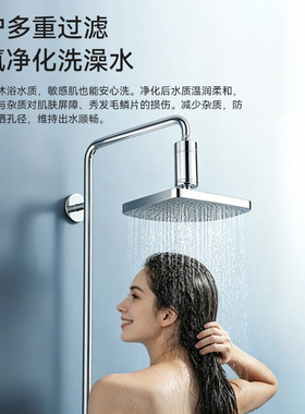 惠尔顿花洒沐浴净水器除氯家用
