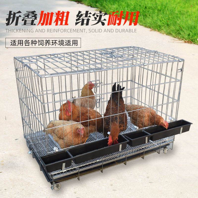 小鸡笼子育雏笼子家用室外大号特大室内养鸡专用笼子芦丁鸡笼子_虎窝淘