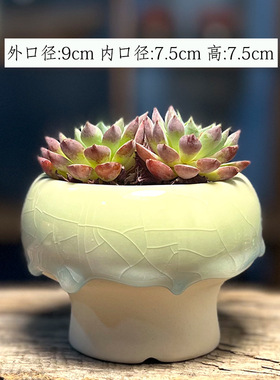 多肉盆栽花盆创意家居摆件流釉小火锅冰裂开片花器生石花陶瓷组合
