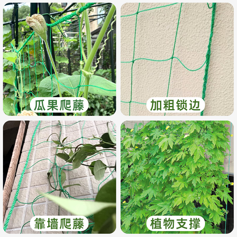 植物爬藤网百香果葡萄园艺花攀藤固定架花架支架种植架子攀爬藤架 - 图1