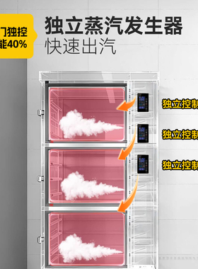【独门独控】蒸箱蒸饭柜商用蒸柜