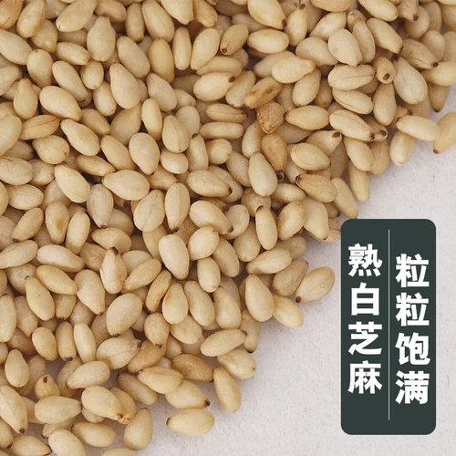 新货500g炒熟白芝麻熟即食 袋装芝麻包邮 现炒白芝麻熟干净 免洗 - 图1
