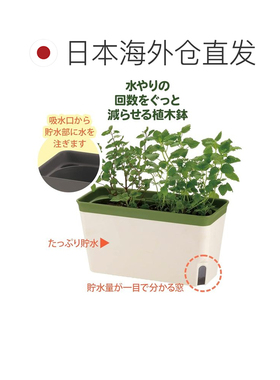 日本直邮Richell 底部供水 Mielno Plus 花盆 27 型 N 白色 7
