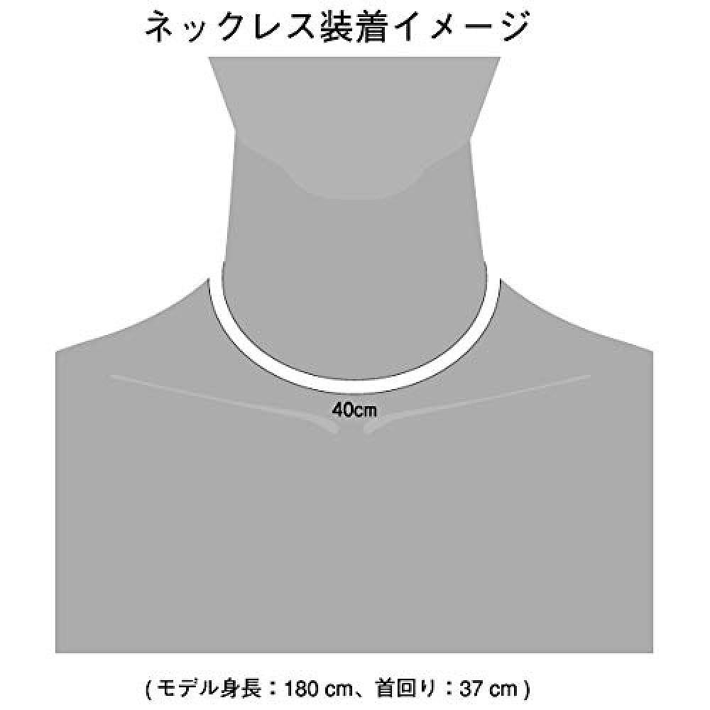 【日本直邮】PHITEN法藤项链拉库瓦脖子钢丝空气黑色银40厘米 - 图2