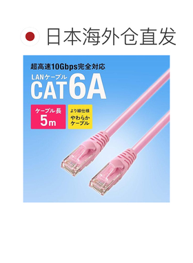 日本直邮Sanwa Cat6A绞线网线 粉 5m KB-T6AY-05P
