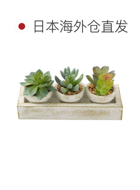 日本直邮NITORI 多肉植物3件套带托盘 白色 宜得利