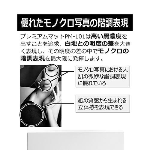 【日本直邮】Canon佳能 相纸 哑光 A3 20张 PM-101A3N20 - 图3