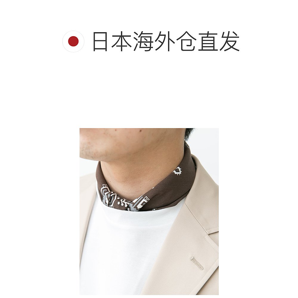 1h可退 日本直邮LIFE STYLE TAILOR 男士棉丝面料口袋巾 DT241UL0 - 图1