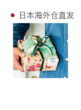 日本直邮HEADS 纸质拉菲草丝带 5厘米宽 10米卷装 绿色 HEADS