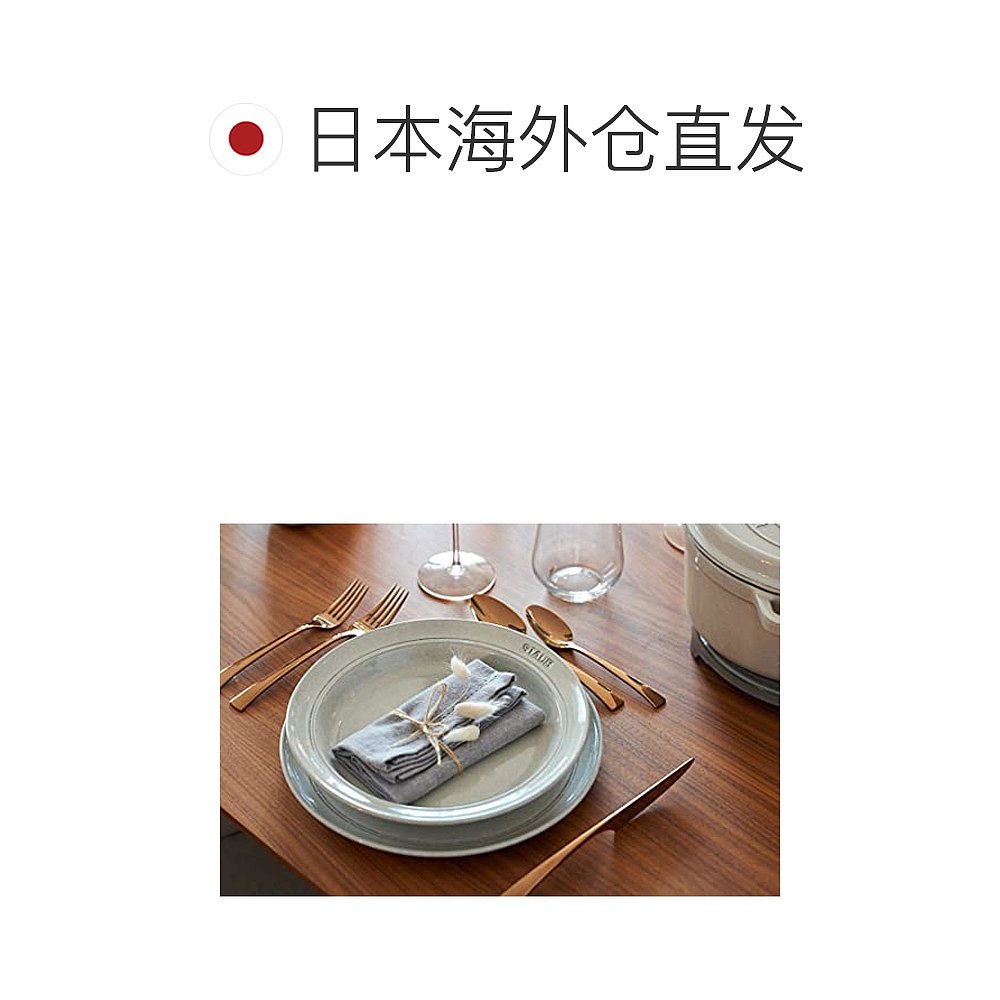 【日本直邮】Staub珐琅 陶瓷餐盘20cm Ceramic Plate 40508-026 - 图1