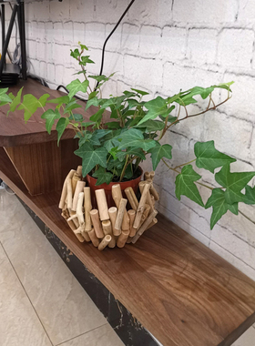 创意客厅绿植小花瓶桌面摆件装饰