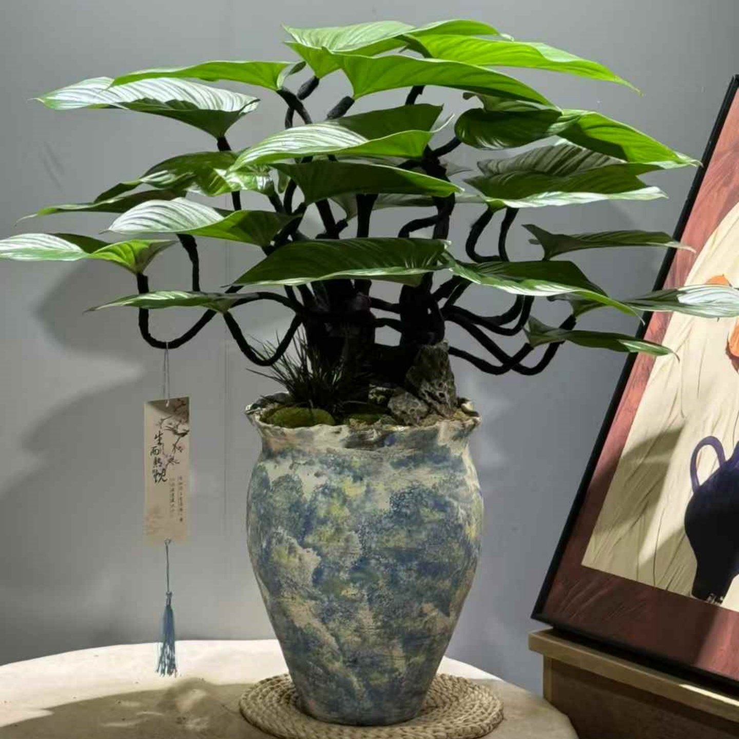 造型绿芙蓉盆栽室内常青好养的植物客厅书房茶几盆景办公桌面绿植,淘宝优惠券,粉丝福利购,淘宝优惠卷