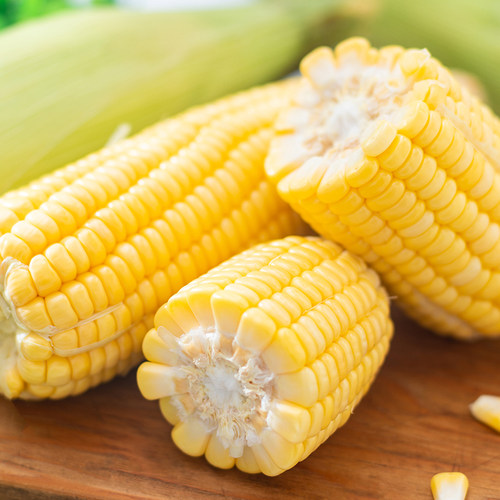 臻淳粮甜纯糯玉米臻淳粮甜新鲜粘苞米东北黑龙江非转基因小粒黄黏 - 图1