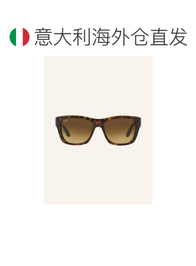欧洲直邮ray ban/雷朋 男士 太阳镜