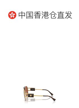 1h可退 香港直邮Versace 范思哲 男士 徽标太阳镜 VE22521配饰