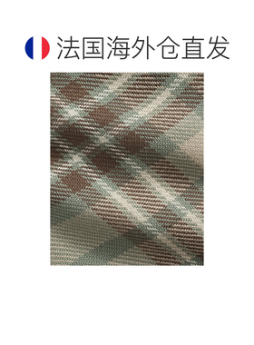 自营欧洲直邮Ralph Lauren拉夫劳伦 男士浅绿色棉质格纹斜纹领带