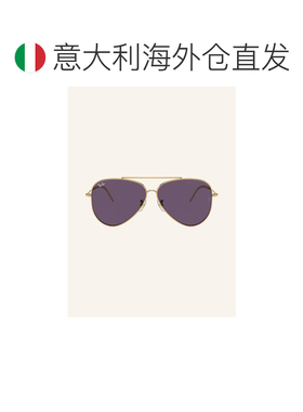 香港直邮ray ban/雷朋 女士 太阳镜