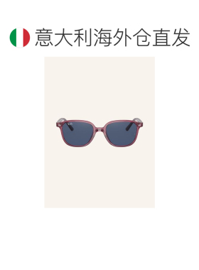 欧洲直邮ray ban/雷朋 女士 太阳镜