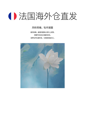 欧洲直邮Bon Parfumeur柏氛802浓香水「温柔竹林风荷」30ml 正品