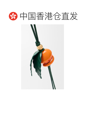香港直邮LOEWE 女士项链 CCFC232X469100 AW2026 花色 黄和小牛皮