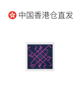 Celine 方形 IN 真丝斜纹丝巾 2AW902R86丝带 【付后1h可退】