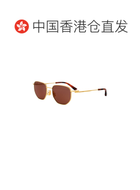 香港直邮BOTTEGA VENETA 男士太阳镜 BV1301S008 AW2025 褐色