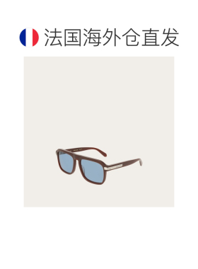 自营欧洲直邮Ferragamo菲拉格慕 男士深棕色醋酸纤维太阳镜