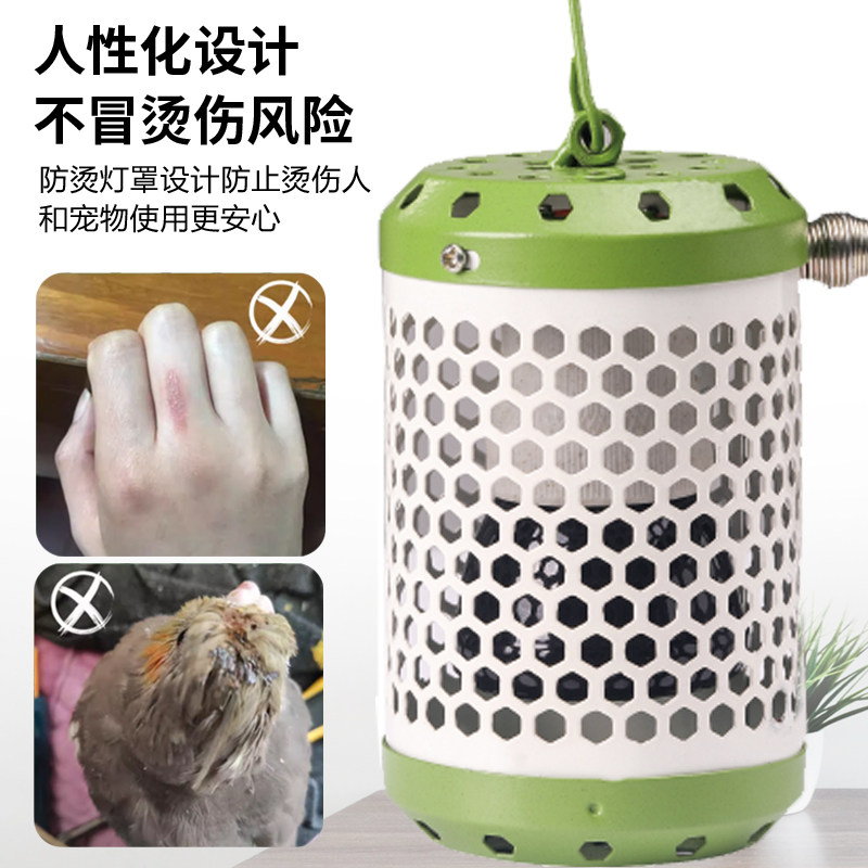 鹦鹉玄凤芦丁鸡鸟窝保暖灯鸟笼加热暖灯爬宠取暖陶瓷灯罩防烫取暖,淘宝优惠券,粉丝福利购,淘宝优惠卷