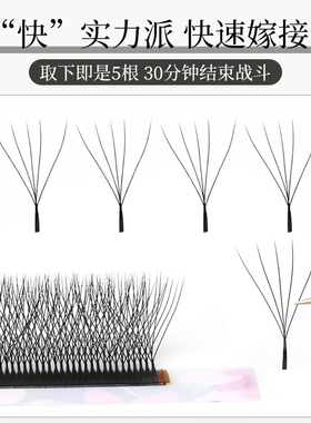 0.05五叶草睫毛嫁接柔软开花