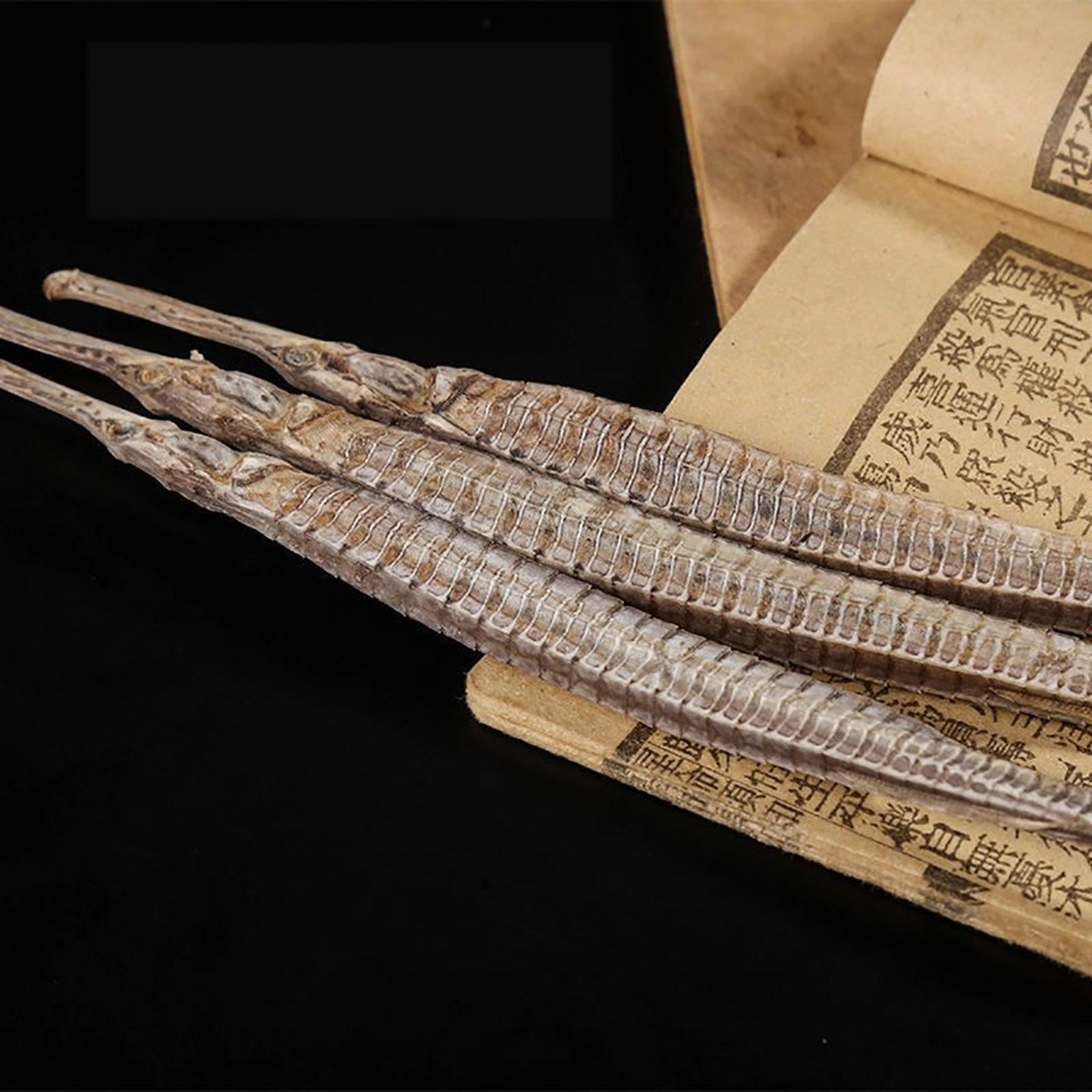 海龙干货中药材四角海龙中药饮片男性滋补泡酒尖海龙大海龙鱼干CF,淘宝优惠券,粉丝福利购,淘宝优惠卷