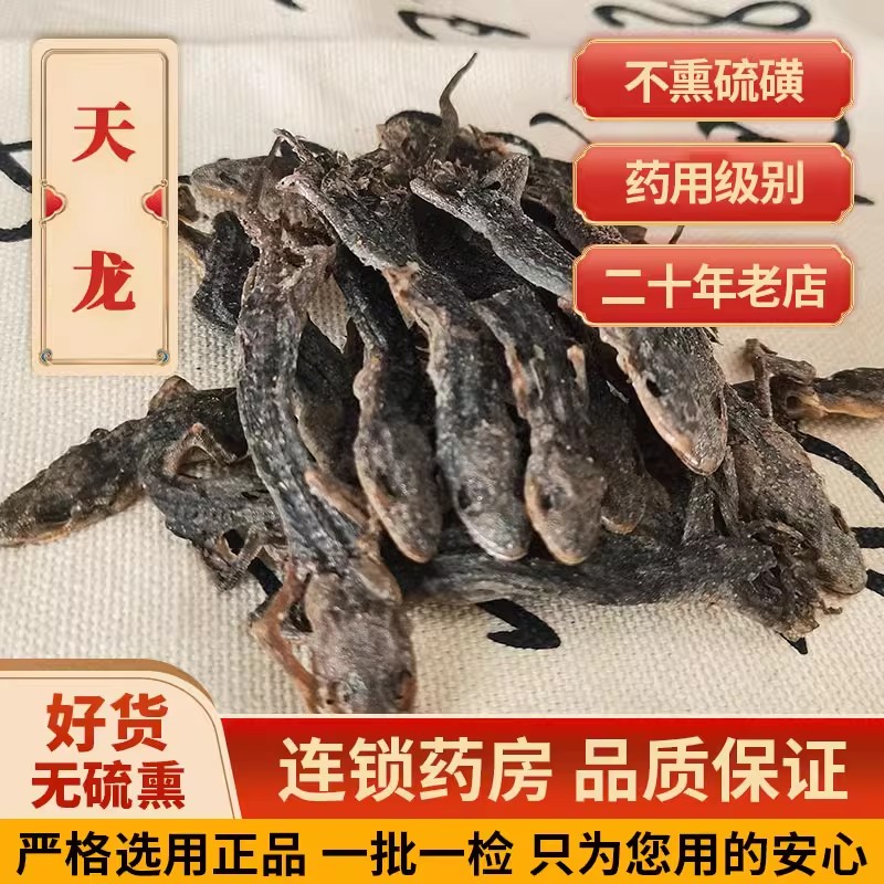 药房发货】壁虎中药材天龙守宫壁虎干中药材精制中药饮片壁虎粉 - 图1