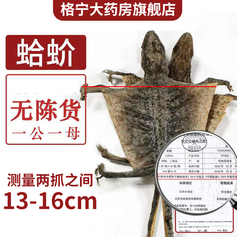 蛤 蚧干货一对蛤芥中药补肺益肾定喘大蛤蚧蛤蚧酒蛤蚧粉中药饮片