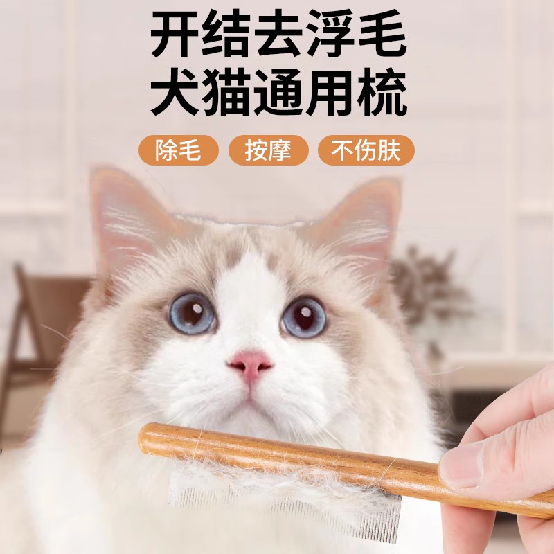 猫咪梳子宠物用品大全狗狗梳子去浮毛清理神器专用宠物猫跳蚤排梳-图3