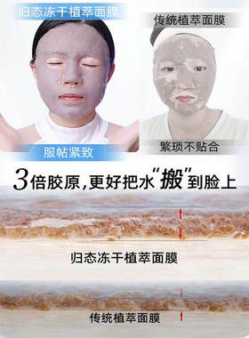 厂家直销海藻面膜冻干片